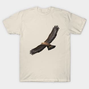 Golden Eagle - Aquila chrysaetos T-Shirt